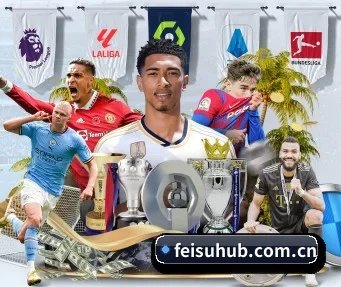 飞速体育 APP - feisu sports